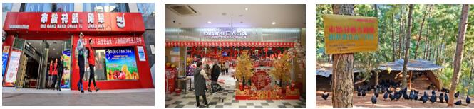 广东会·(中国区)有限公司官网