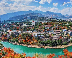 信息公开_1734601551369